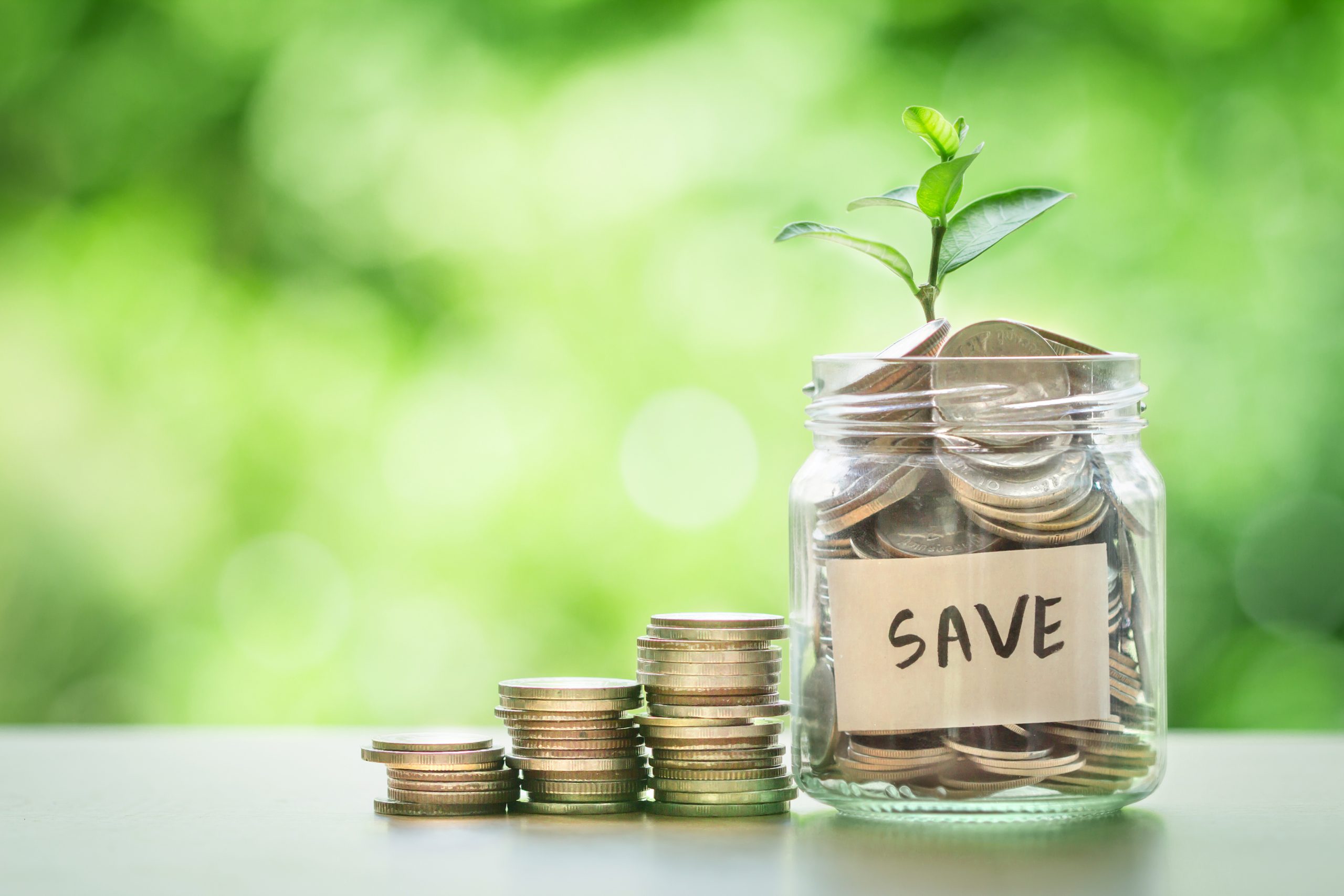 Plant growing in Coins glass jar for money saving and investmen